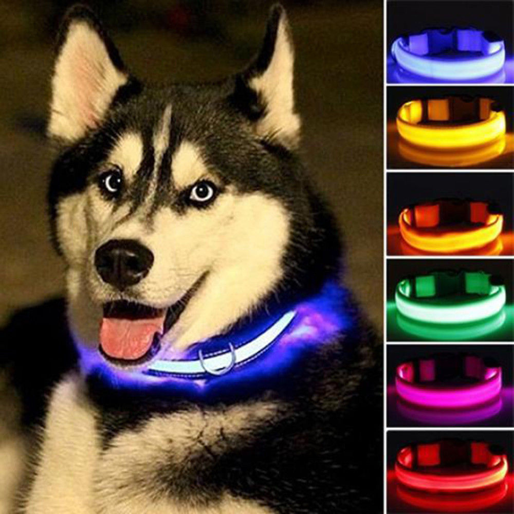 Night Glow Safety Collar