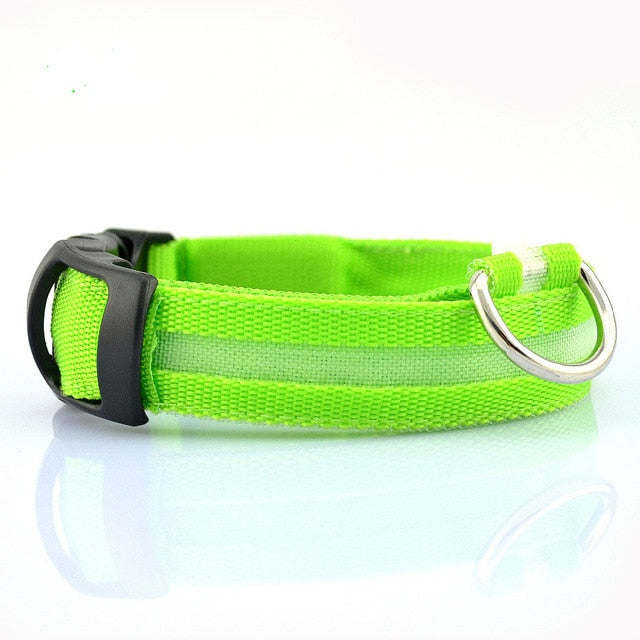 Night Glow Safety Collar