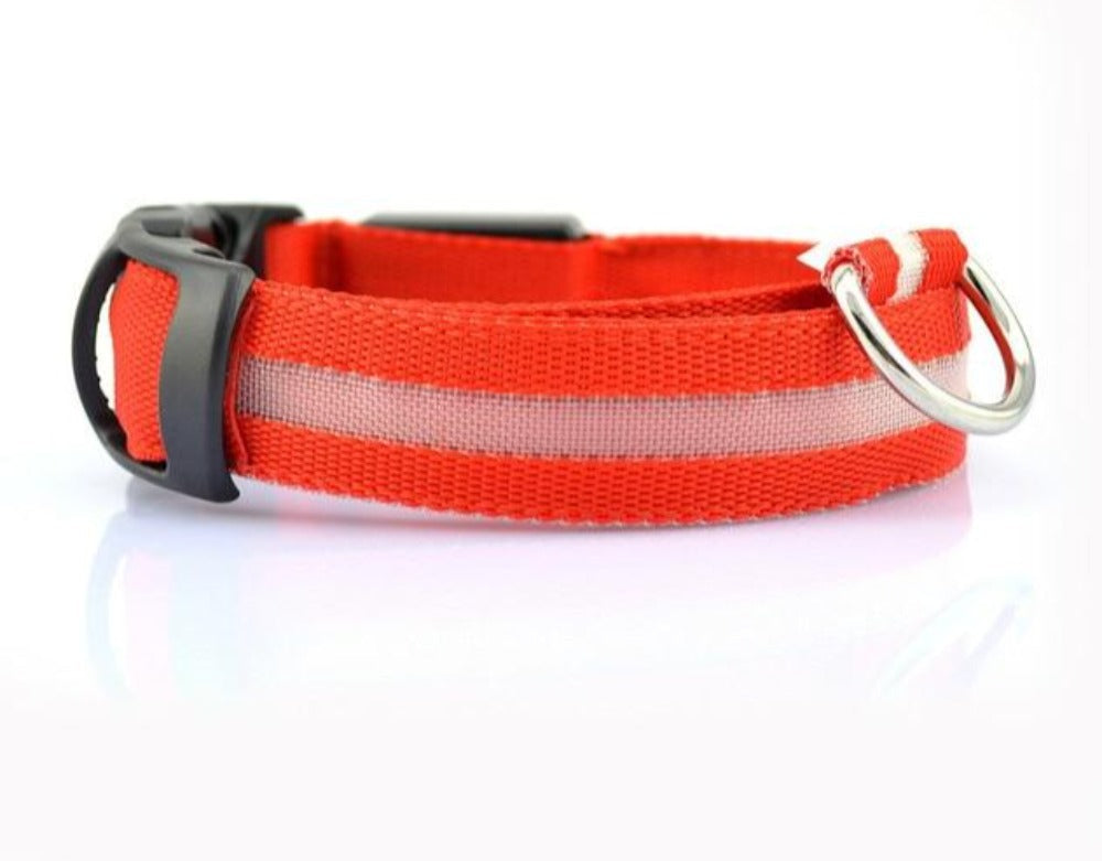 Night Glow Safety Collar