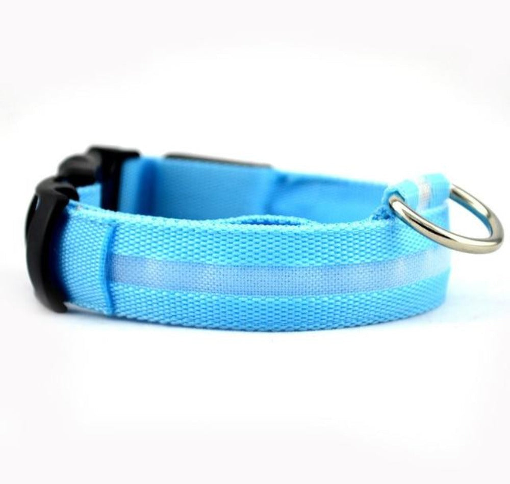 Night Glow Safety Collar