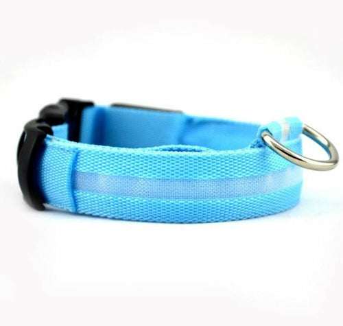 Night Glow Safety Collar