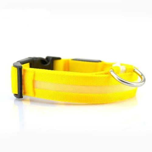 Night Glow Safety Collar