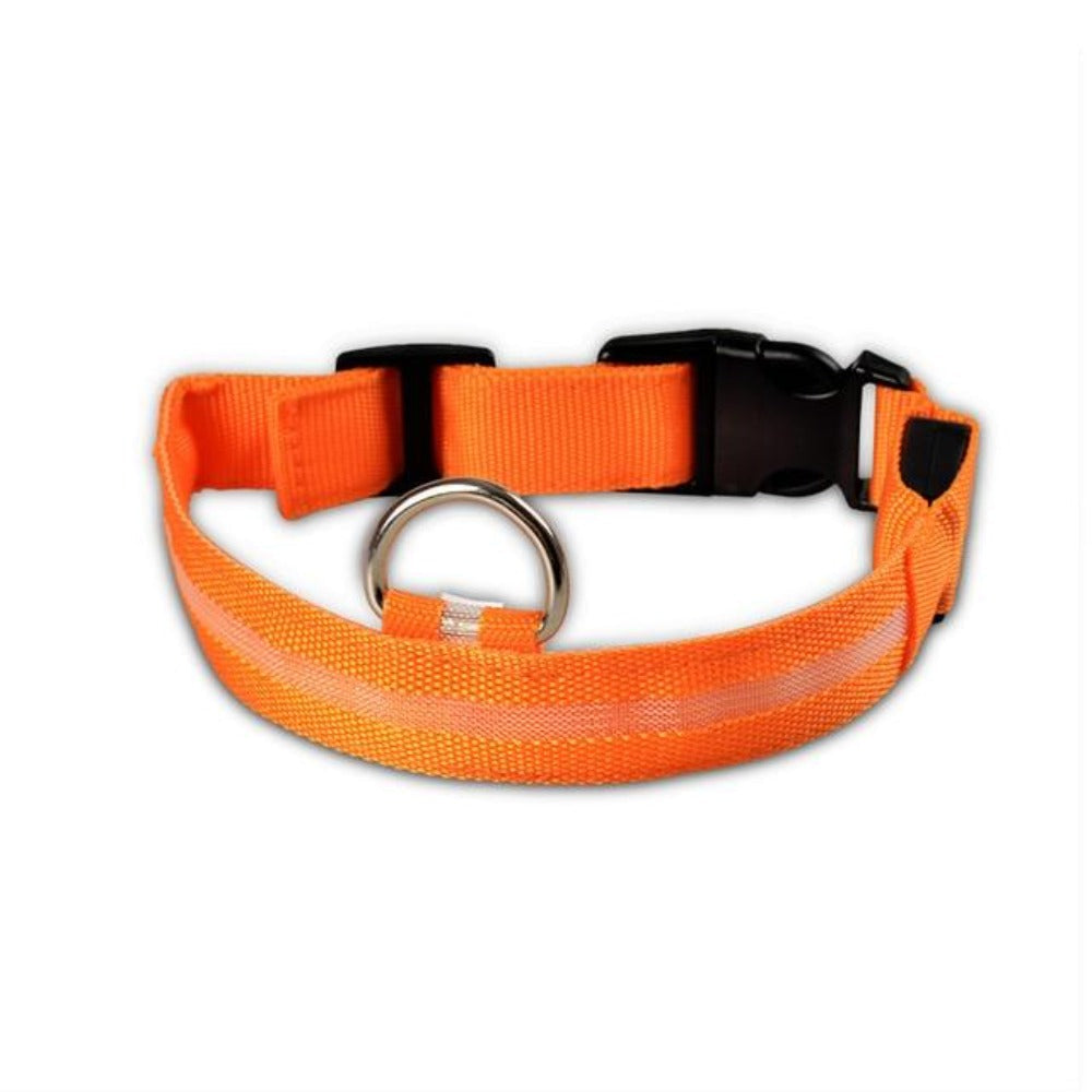 Night Glow Safety Collar