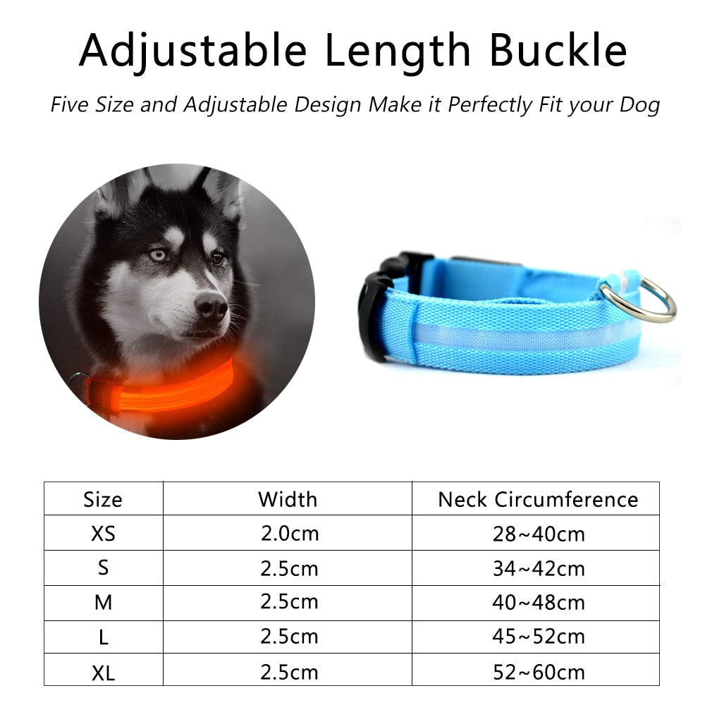 Night Glow Safety Collar