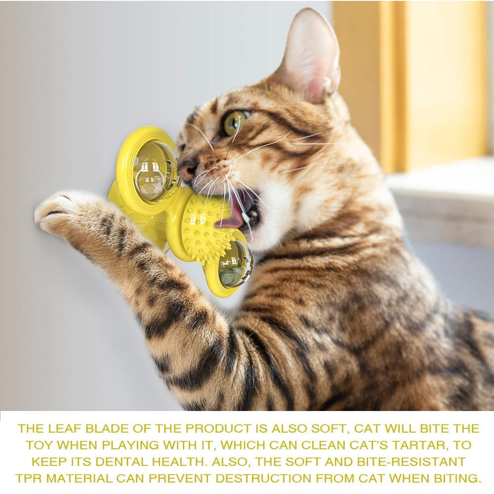 Spin & Shine Cat Toy